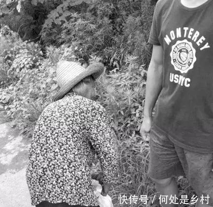 我辛苦种地搞科研,你开心偷菜家里搬,岂有此理