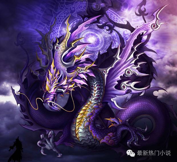 小说点评_小说内容评析