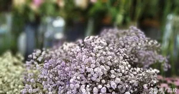 努比亚N3好不好努比亚N3手机体验评测