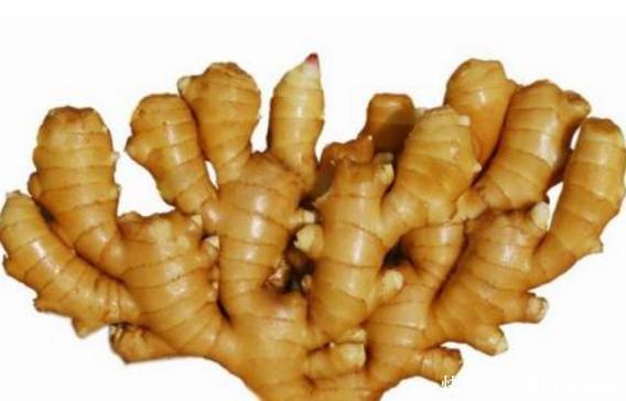 不要再将生姜放在冰箱储存了,教你这样做,放半