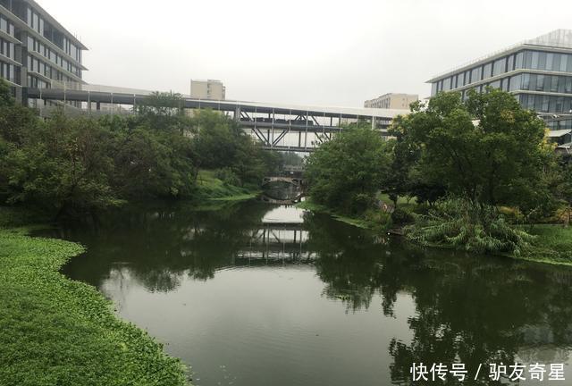 走访阿里巴巴集团总部:风景美如画