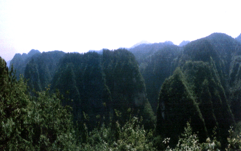 广东珠海市万山镇竹洲岛全貌