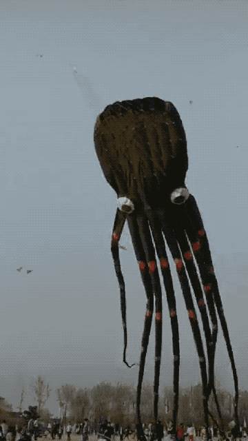 t017a3d3ab832566b28.gif?size=360x640