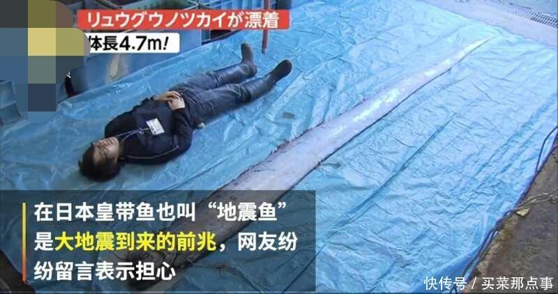 到底是不是大地震的前兆日本土惊现47米长的