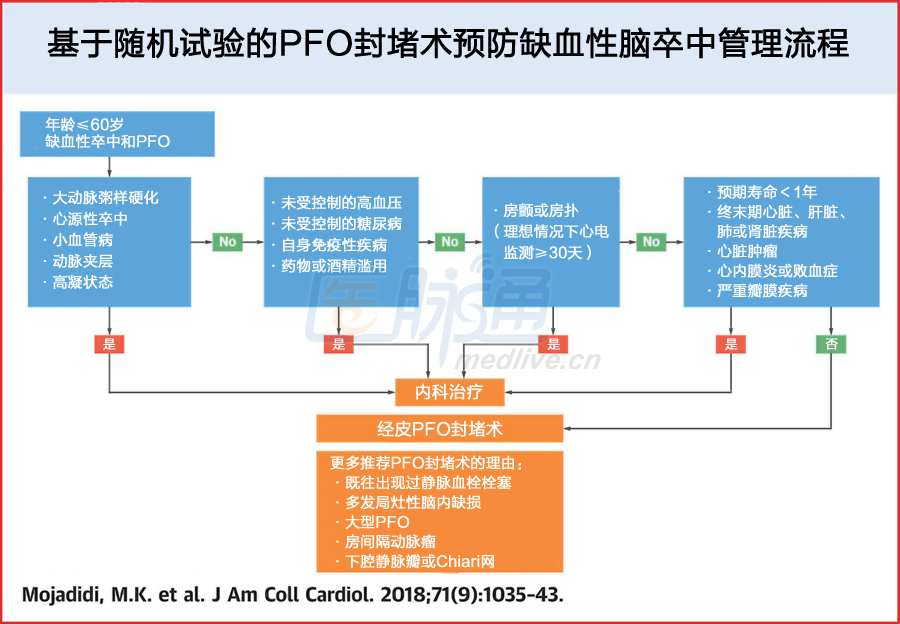 PFO与卒中预防:12条要点与1张流程图