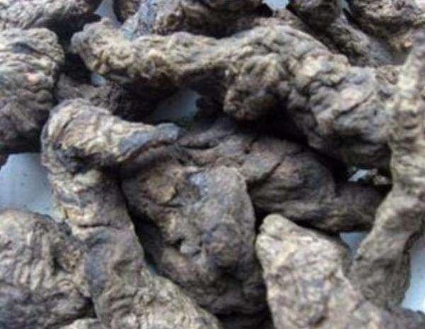 熟地黄的作用与功效怎么吃 t017bcb49b4009f806e.jpg?size=600x465