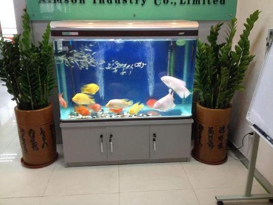 龍沙區(qū)花卉市場海泉水族商店（龍大花卉市場有水族嗎）