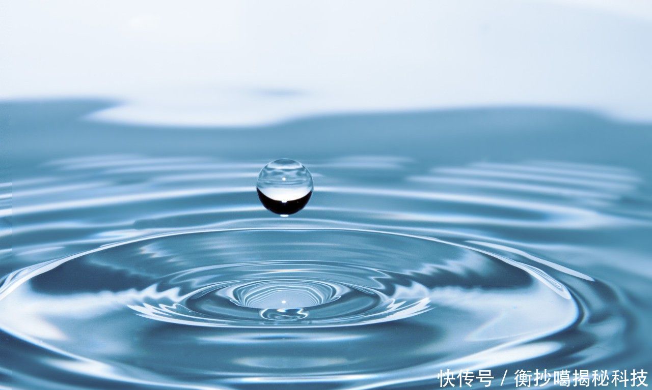 净价是什么意思