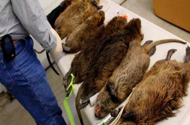 t017d3c9409de519e3d.jpg?size=640x422