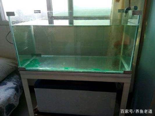 廈門水族箱魚缸廠家直銷（廈門水族箱魚缸廠家直銷電話）