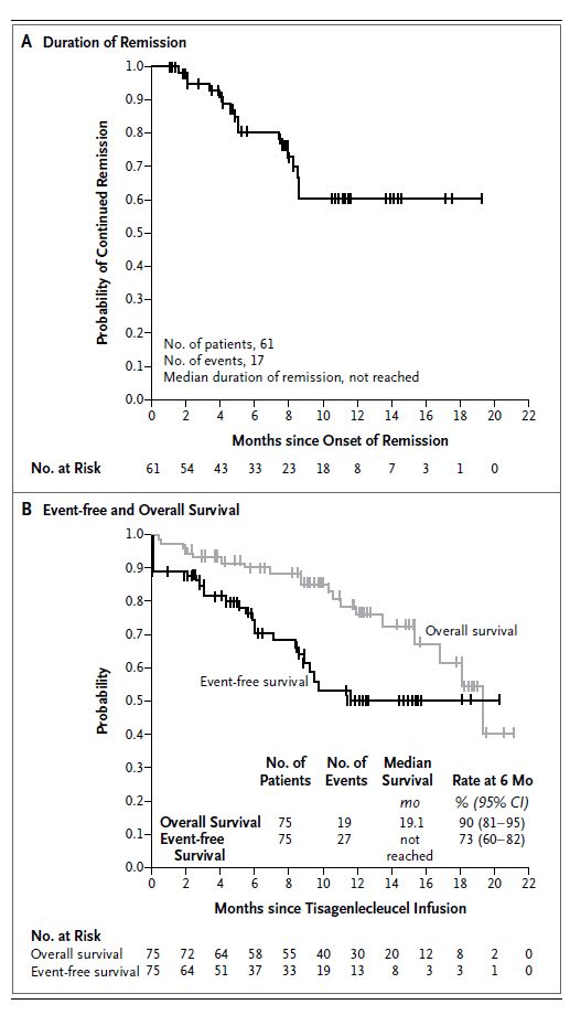 Tisagenlecleucel治疗儿童及年轻成人B-ALL,总缓解率达81%