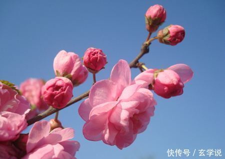 6月6喜事，财神扎堆来，三生肖横财入宅，三翻四次发大财！