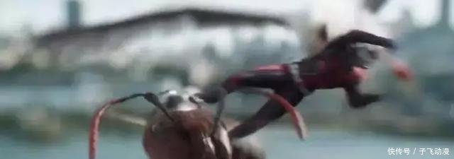 在等待复联4的时光里,靠什么抚慰被灭霸支配的