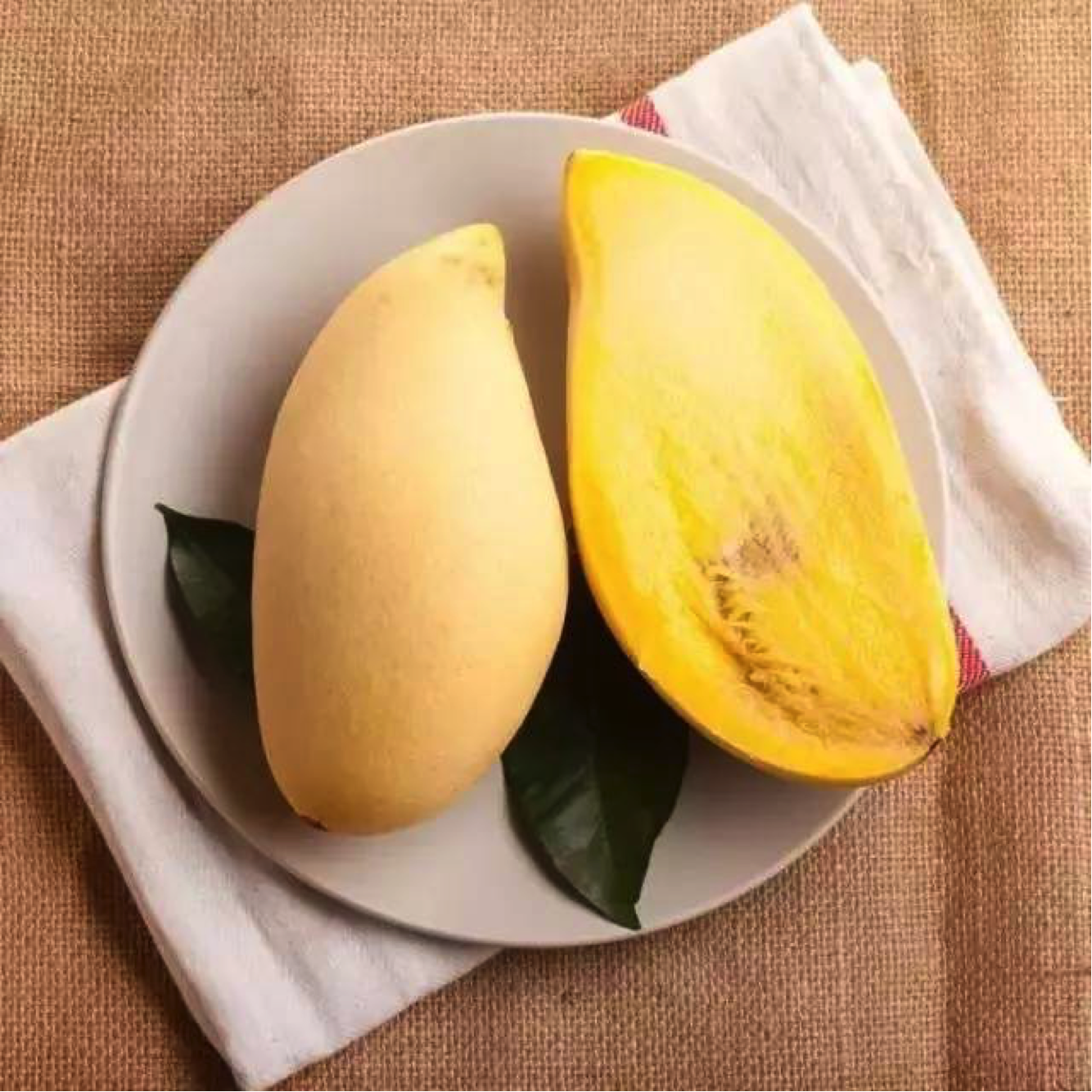 t0180b0b5130afe6e4f.png?size=1334x1334