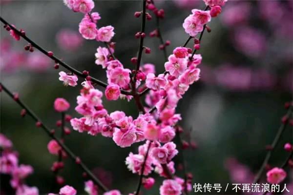 天生与财神有缘的三大生肖,一生财运旺盛,求财得财,万事顺遂 澳门星际国际官网