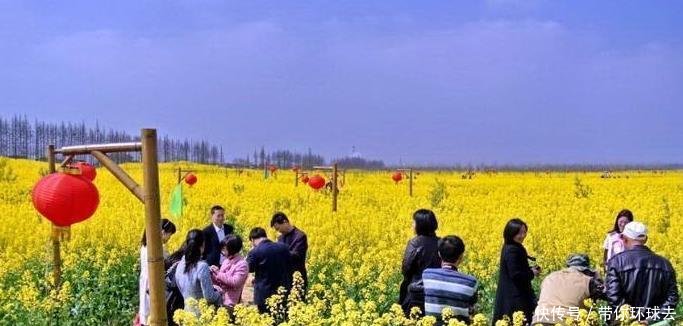 中国南方又现一座干净城市, 干净程度可与日本