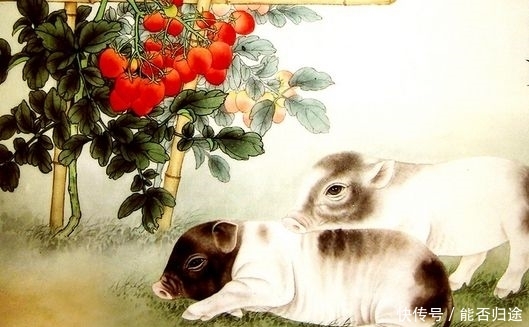 生日是几年的人,喜事正往他家来,亥猪年家门富