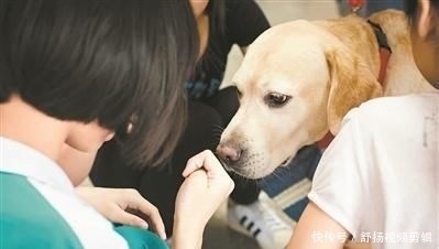 出勤是什么意思