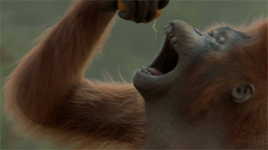 别给我说什么美女了,我的心已经给她了