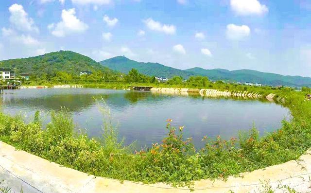 去哪儿网预订酒店