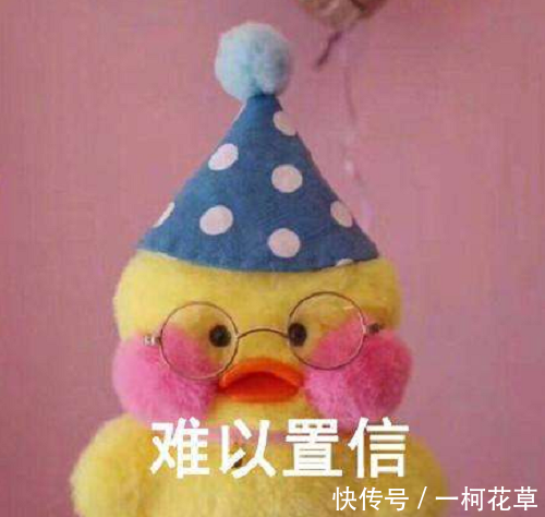 我有100种制作花肥的方法,你敢用吗?