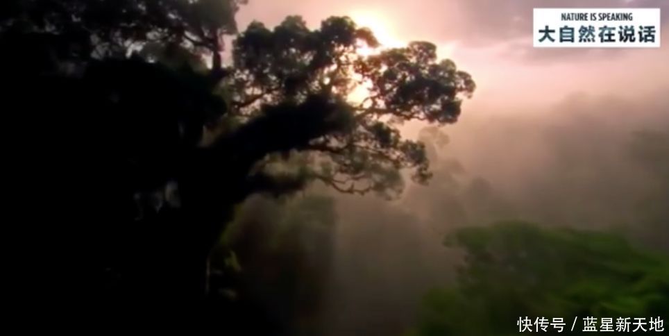 t0187c42cf6645d831c.jpg?size=964x484