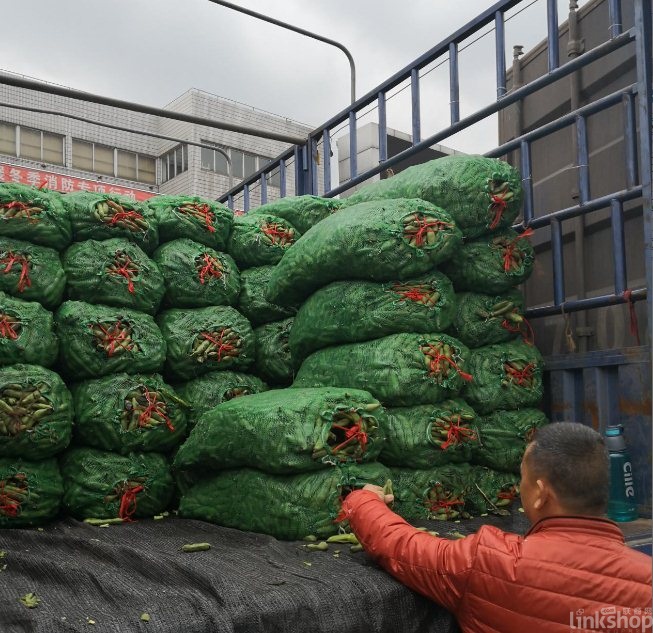 作为零售发源地,上海最大蔬菜批发市场是怎么