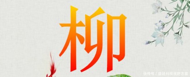 爸爸姓柳,舅舅给孩子起名字,倒着念了一遍,尴尬