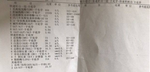 乙型肝炎病毒(HBV-DNA)定量 PCR_360问答
