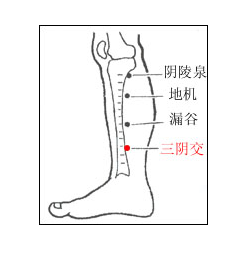 明灯医学:艾灸治疗小儿遗尿!