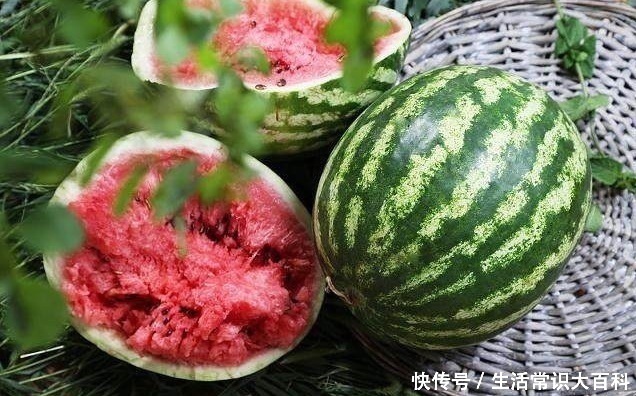 t018a2f1a18fd56f15c.jpg