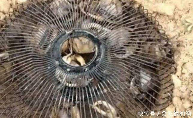 新婚女子把风扇放田里,邻居不解隔天一早,里面