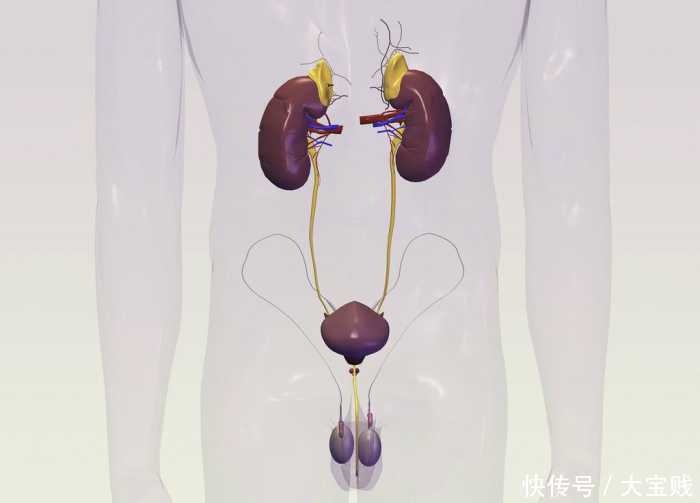 新婚之夜男子进了医院, 医师问情况男子沉默蹲