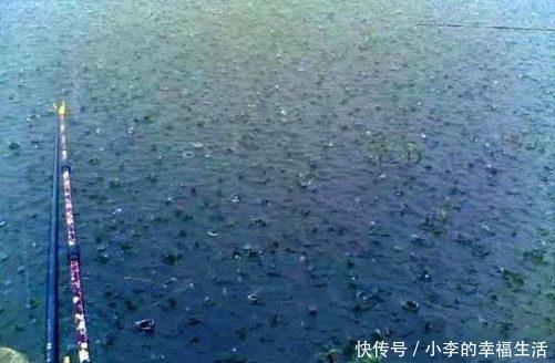 雨天鱼儿连连咬钩，机会短暂钓鱼要怎么把握？