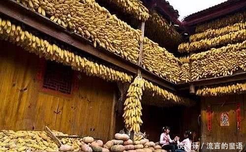 未来5年,农村3类人的日子不好过,花钱的地方有