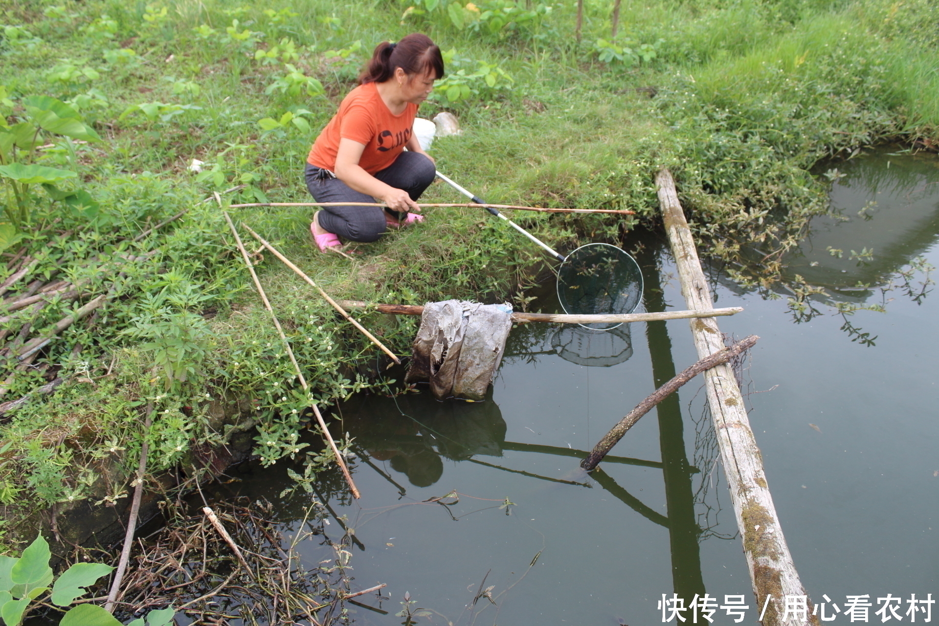 厉害啦！农村大妈集体外出活动，不花一分钱改善生活，我已看呆