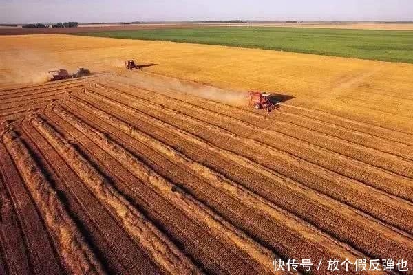 中国2.2亿农民与荷兰22万农民