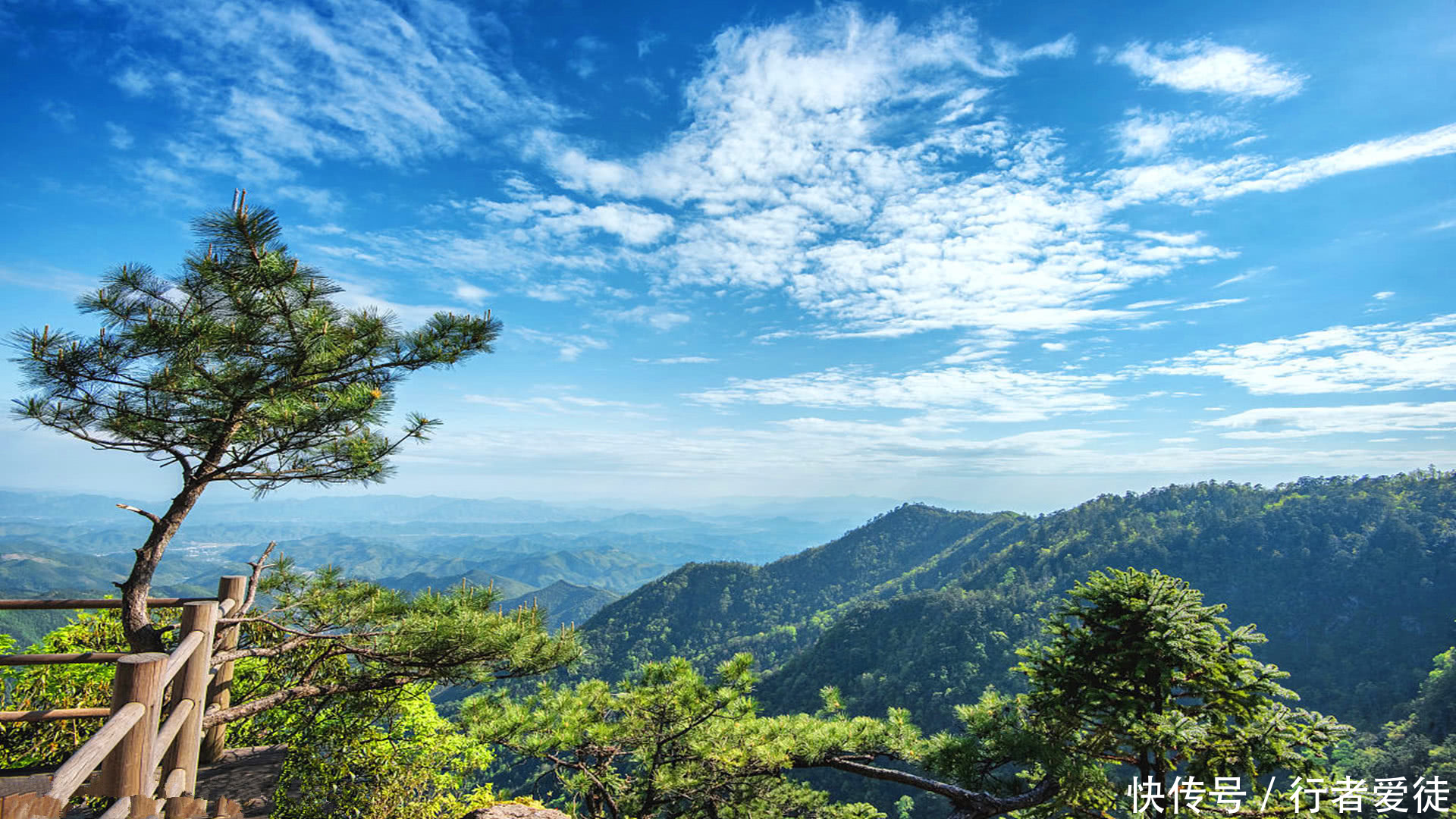 河南最大的区，比半个漯河大，接近济源，等于三分之一个平顶山