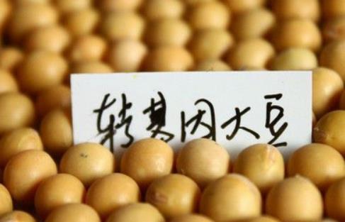 大豆转基因公司