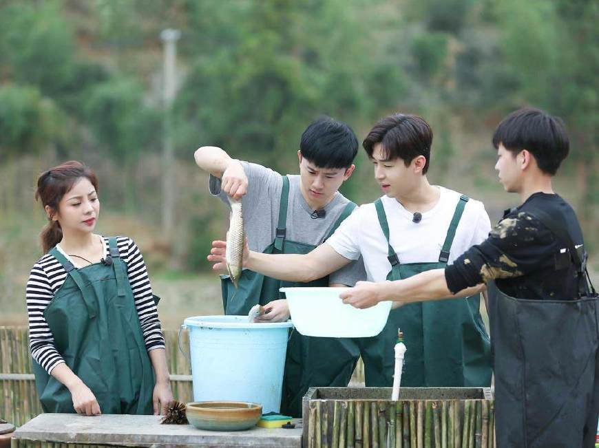 《向往的生活》做饭为什么不用煤气灶,黄磊这