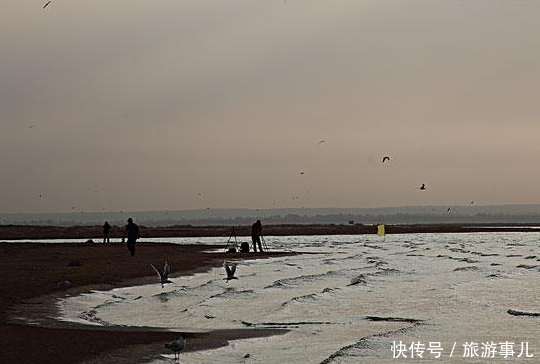 中国最大的沙漠淡水湖，美到没朋友，被预言10年之内会消失