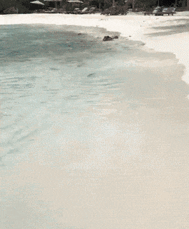 护士小姐姐给看脸才打针 动图妹子又解锁新姿势了!