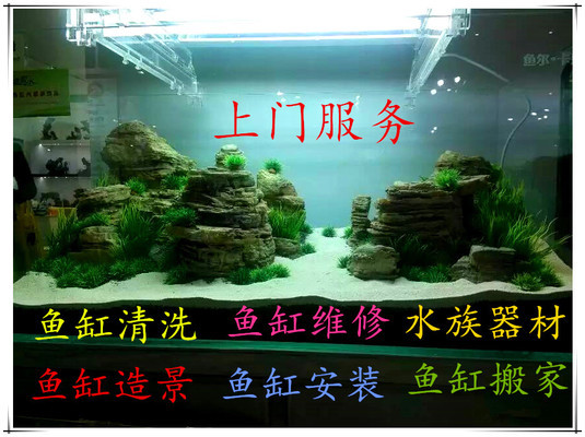 黑龍江大發(fā)國際貿(mào)易有限公司洪蕾水族館（黑龍江大發(fā)國際集團(tuán)）