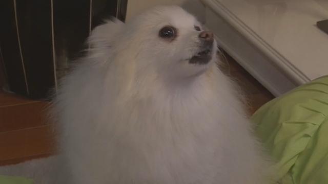 《1810我看行》20170129新年旺起来