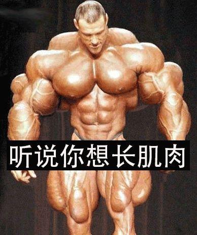 怎样让自己变胖变强壮 t01962b3872ab0fb427.jpg