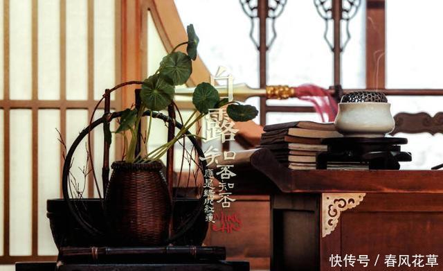 赵丽颖、冯绍峰,爱情最好的模样是同演一部知