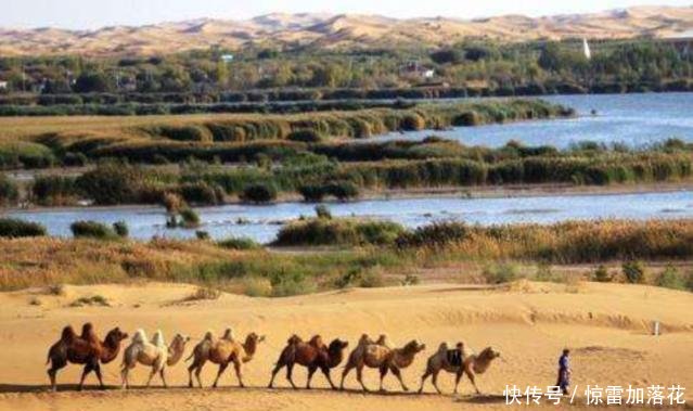 中国积极治沙那么多年,沙漠面积到底减少了多