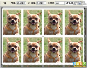 怎么用PS排版1寸照片8张_360问答