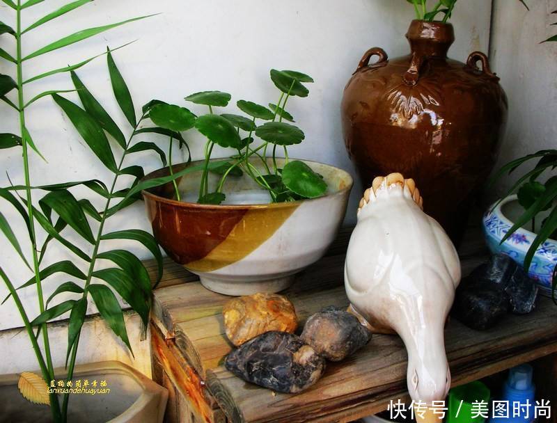 有个“露台花园”折腾,真好!此景此情,喝茶,看书 太惬意啦!