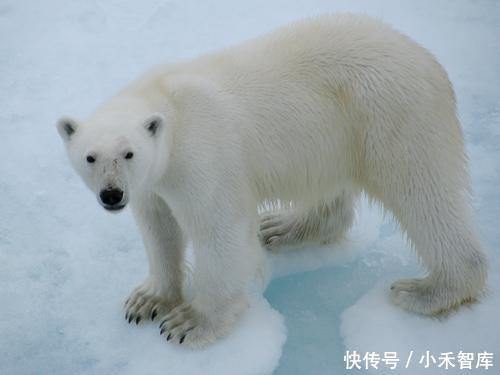 全球变暖是世纪大骗局吗?